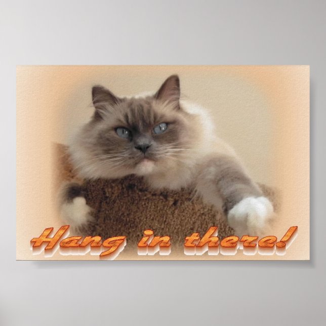 Póster ¡Aguanta! (Frente)