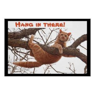 Póster  ¡Aguanta! - Ginger cat sujetándose fuertemente