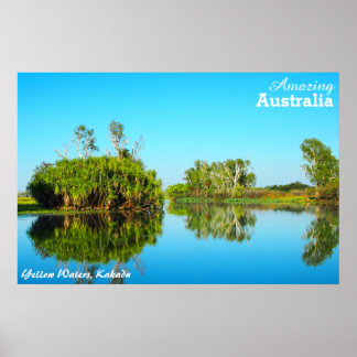 Póster Aguas amarillas, poster Kakadu