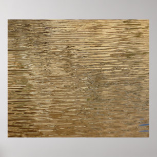 Póster Aguas del Barker Dam en el Parque Nacional Joshua