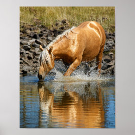 Póster Aguas Palomino