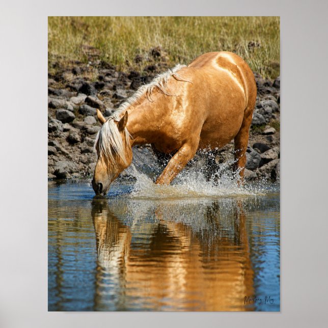 Póster Aguas Palomino (Frente)