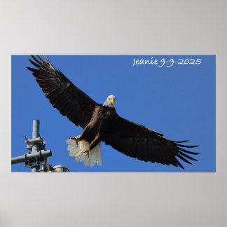 Póster Águila