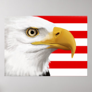 Póster Águila