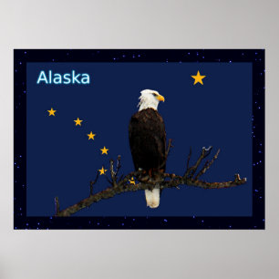 Póster Águila Alaska Y Bandera