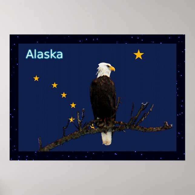 Póster Águila Alaska Y Bandera (Frente)