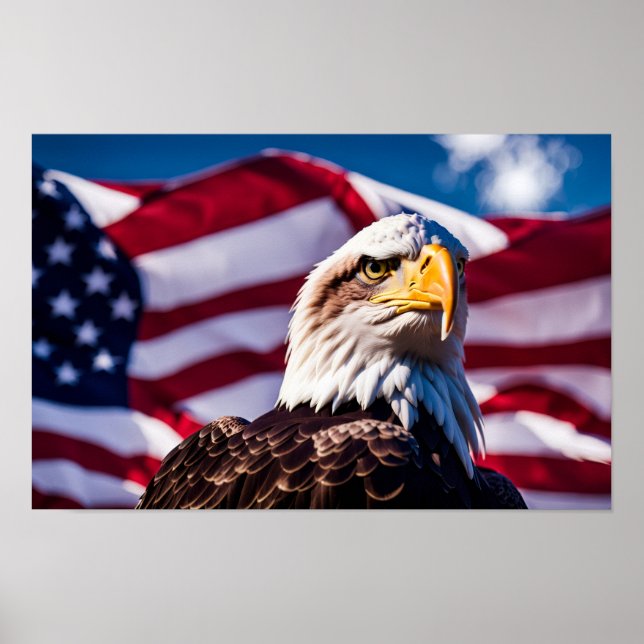 Póster Águila Americana (Frente)
