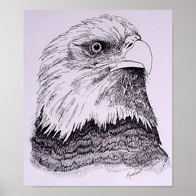Póster Águila americana (Frente)