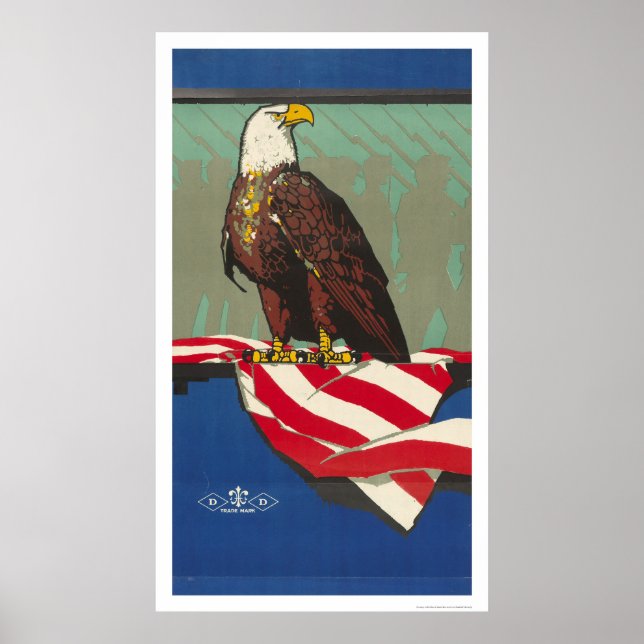 Póster Águila americana (Frente)