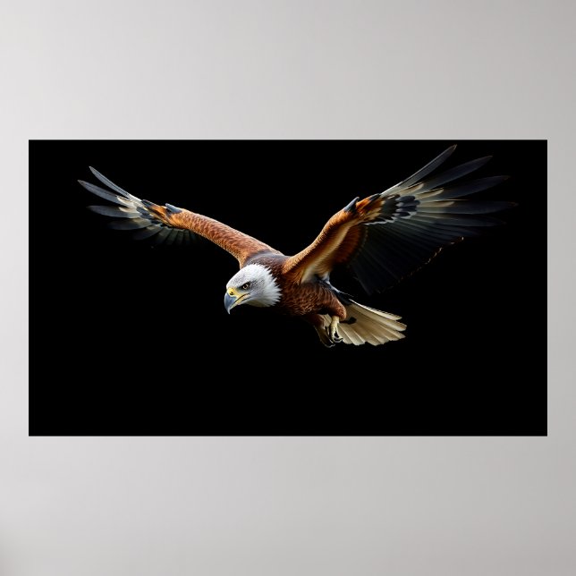 Póster Águila Americana Golpe - Poder Majestuoso (Frente)