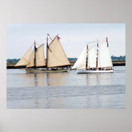 Póster Águila americana y Adirondack III