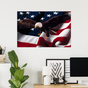 Póster Águila Calva 4 De Julio poster 15