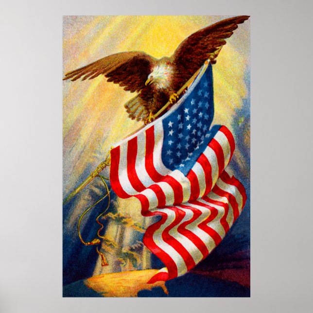 Póster Águila Calva 4 De Julio poster 2 (Frente)