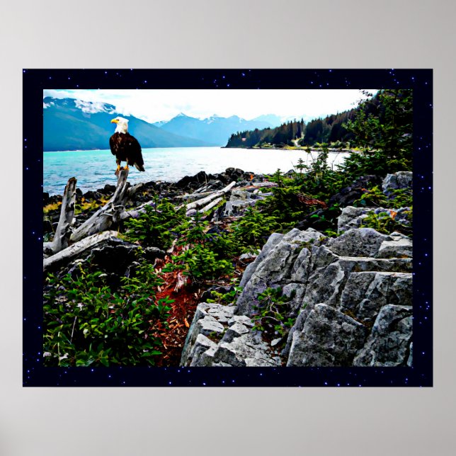 Póster Águila Calva En La Costa De Alaska (Frente)