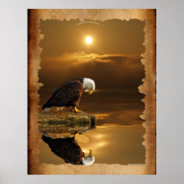 Póster Águila calva en la serie de Gratitud Sunset