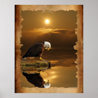 Póster Águila calva en la serie de Gratitud Sunset