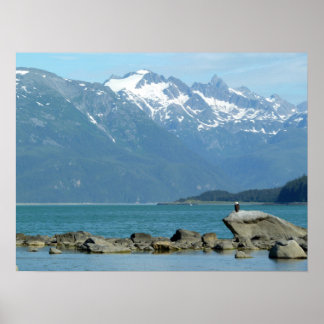 Póster Águila calva en Skagway Alaska