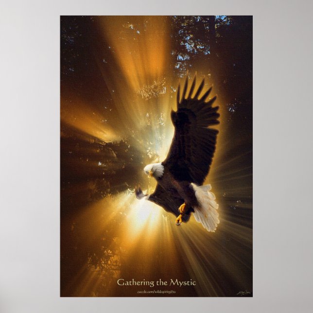Póster Águila calva mística y rayas de fantasía solar (Frente)