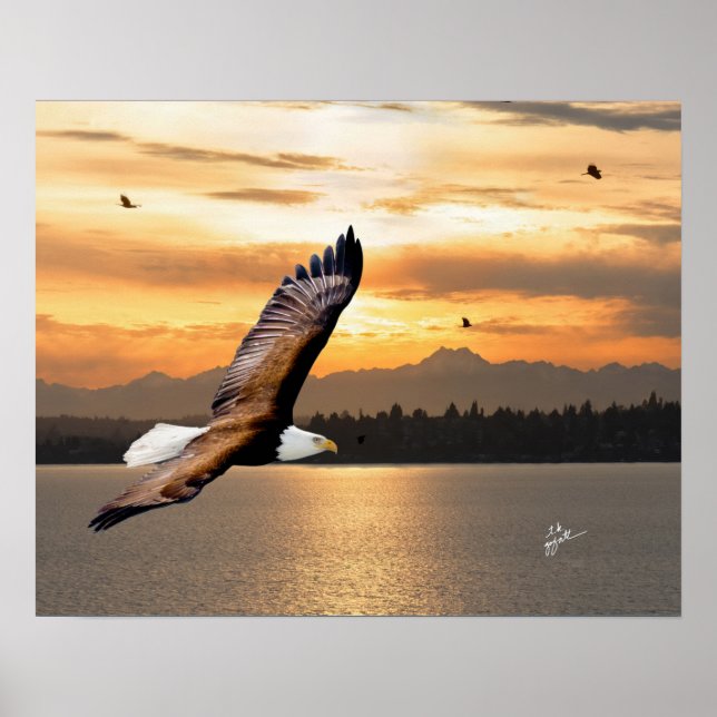 Póster Águila calva por Bella Artes de atardecer de las m (Frente)