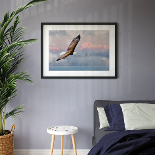 Póster Águila calva por la fotografía Bella Artes de los