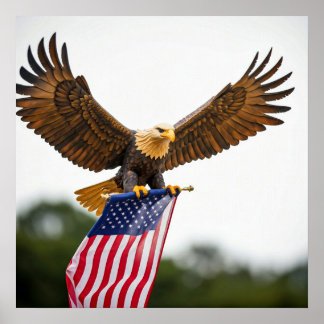 Póster Águila DE BALDA REAL VOLANDO CON BANDERA ESTADOUNI