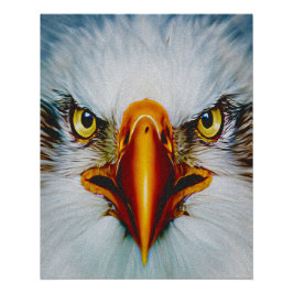 Póster Águila de Cara Completa