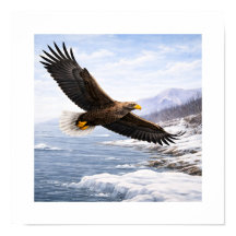 Águila de cola blanca (Haliaeetus albicilla) –