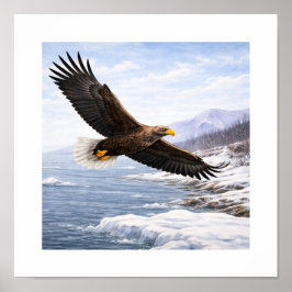 Póster Águila de cola blanca (Haliaeetus albicilla) –