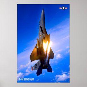 PÓSTER ÁGUILA DE HUELGA F-15E