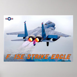 PÓSTER ÁGUILA DE HUELGA F-15E