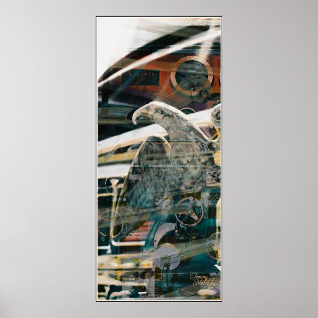 Póster Águila de tiro 1 (Frente)