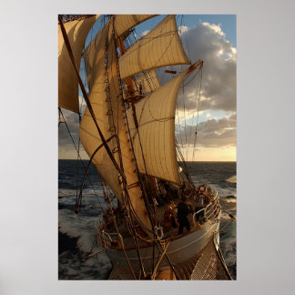 Póster Águila del mar