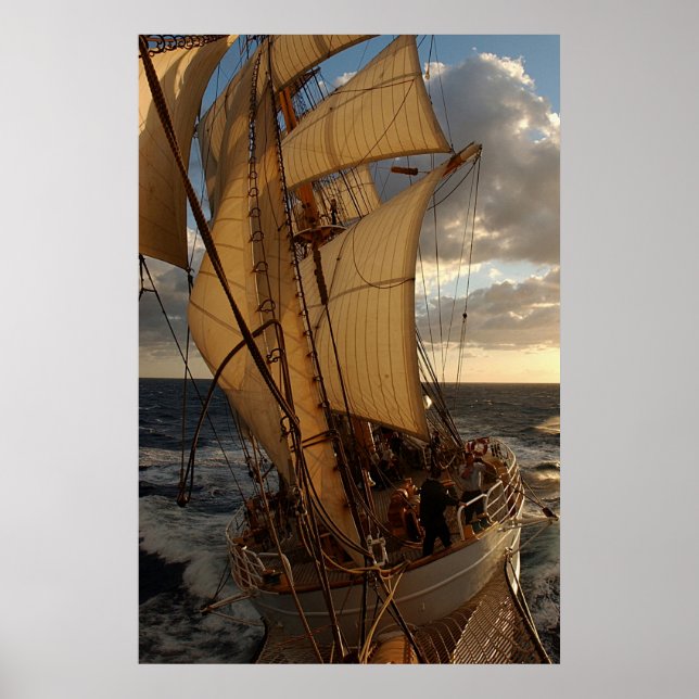 Póster Águila del mar (Frente)