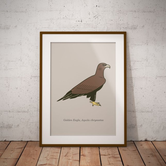 Póster Águila dorada (Golden Eagle Framed Poster)