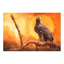 Águila dorada, el Poster GOLDEN ONE
