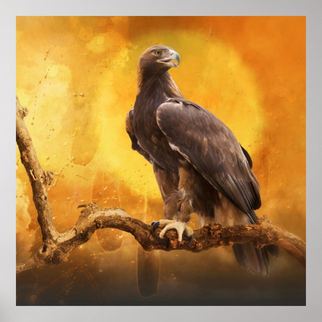 Póster Águila dorada, la de ORO (Frente)
