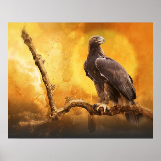 Póster Águila dorada, la de ORO (Frente)