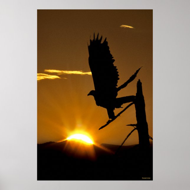 Póster Águila Dorada - Norte de CA - Sierra Nevadas (Frente)