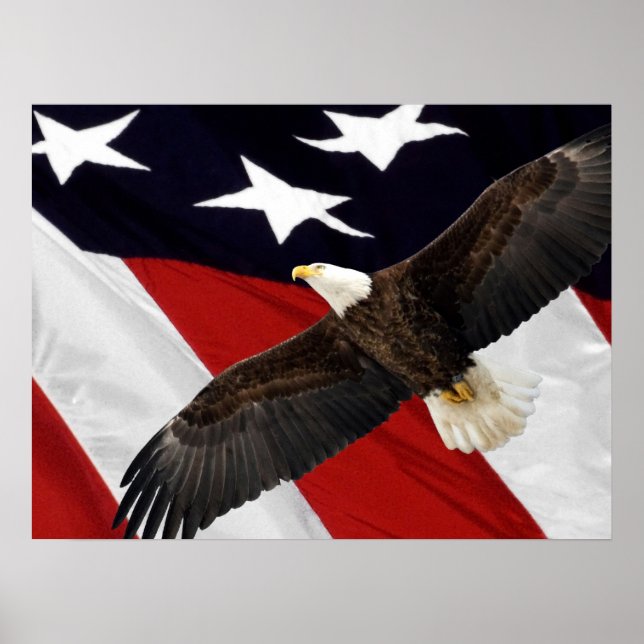 Póster Águila en vuelo por la bandera estadounidense (Frente)
