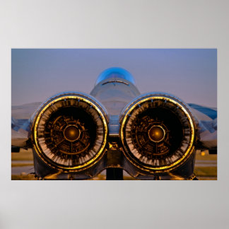 Póster Águila F-15