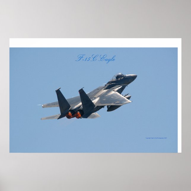 Póster Águila F-15C (Frente)