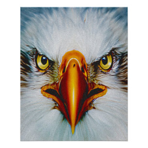 Póster Águila facial completa