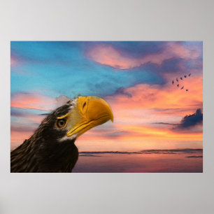 Póster Águila marina