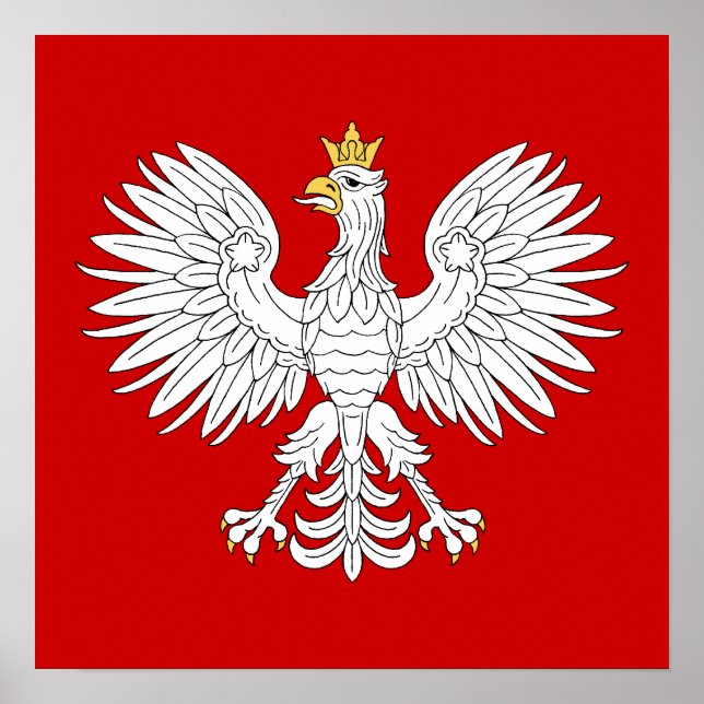 Póster Águila polaca (Frente)