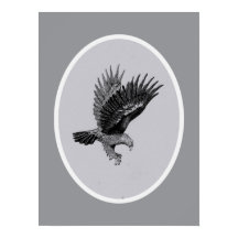 Águila por Luz