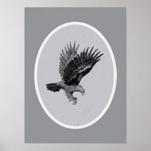 Póster Águila por Luz