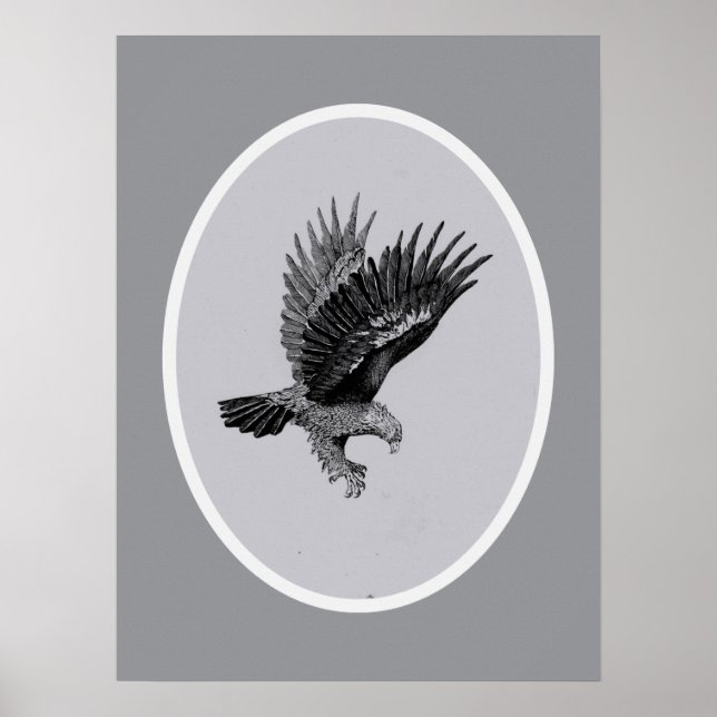 Póster Águila por Luz    (Frente)