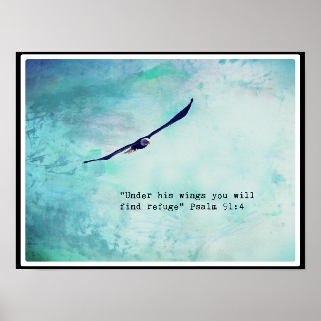 Póster Águila Salmo 91 Poster de 16" x 12" (mate) (Frente)