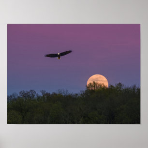 Póster Águila Superluna Rosa