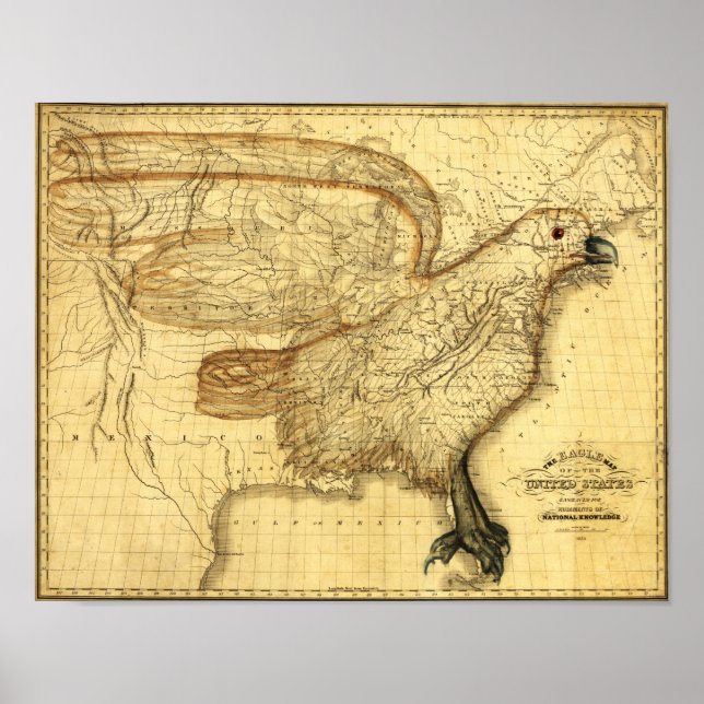 Póster Águila superpuesta a Estados Unidos (Frente)